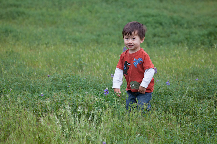 Zane plays in the weeds