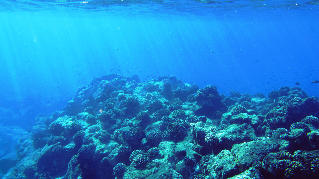 snorkeling off Koloa Landing 