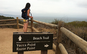 Torrey Pines State Reserve