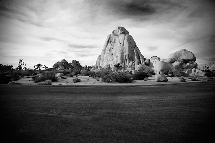 Joshua Tree: One More Climb